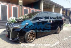 alphard-facelift-weding