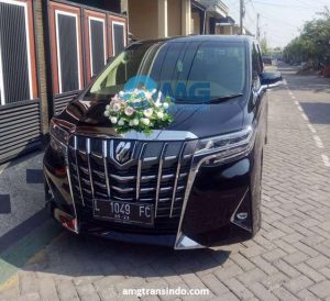 sewa alphard surabaya